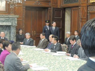 20150225選挙制度の改革に関する検討会8.jpg